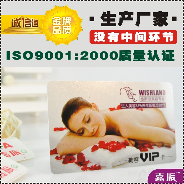 �y�����W�y����